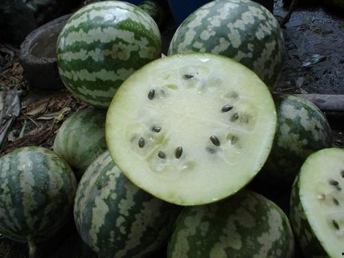 银粟瓜怎么吃,解锁美味新体验