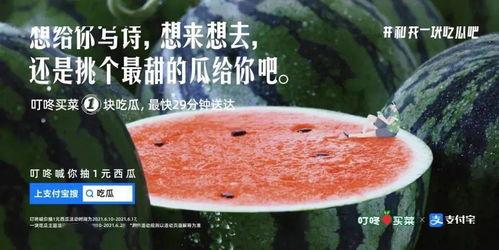 看戏吃瓜长文案,瓜田李下，尽享人生百态